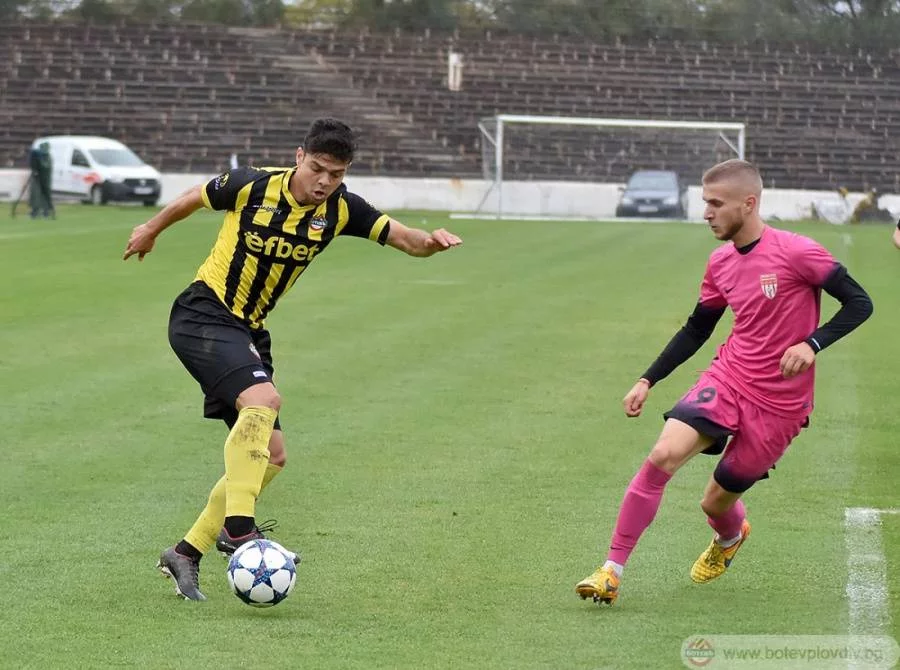 Фернандо Виана