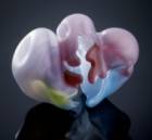 Международно биенале на стъклото