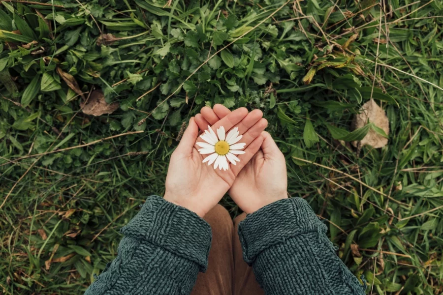 дневен хороскоп