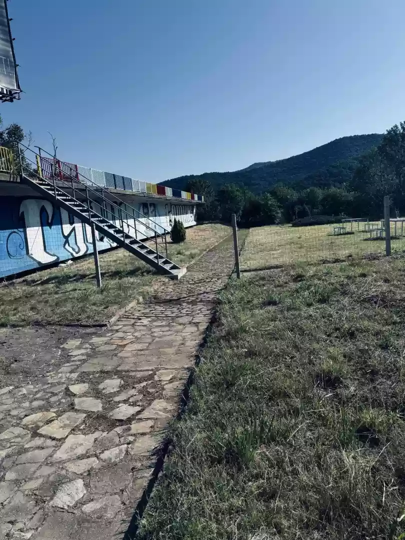 Витиня
