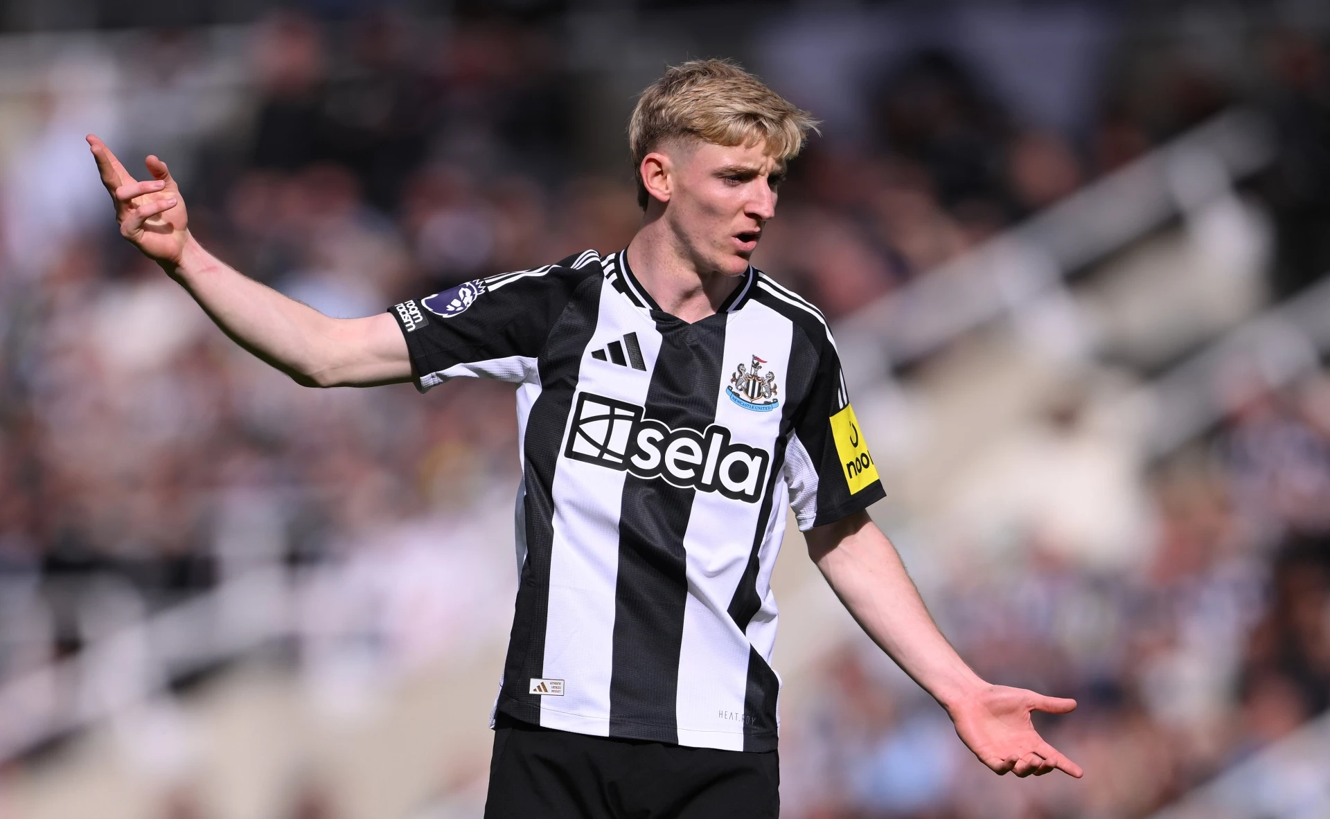 Антъни Гордън