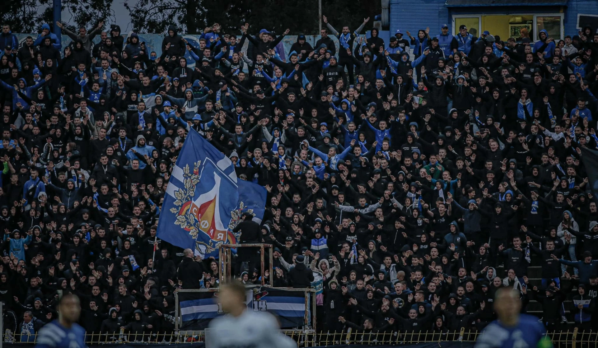 фенове на Левски