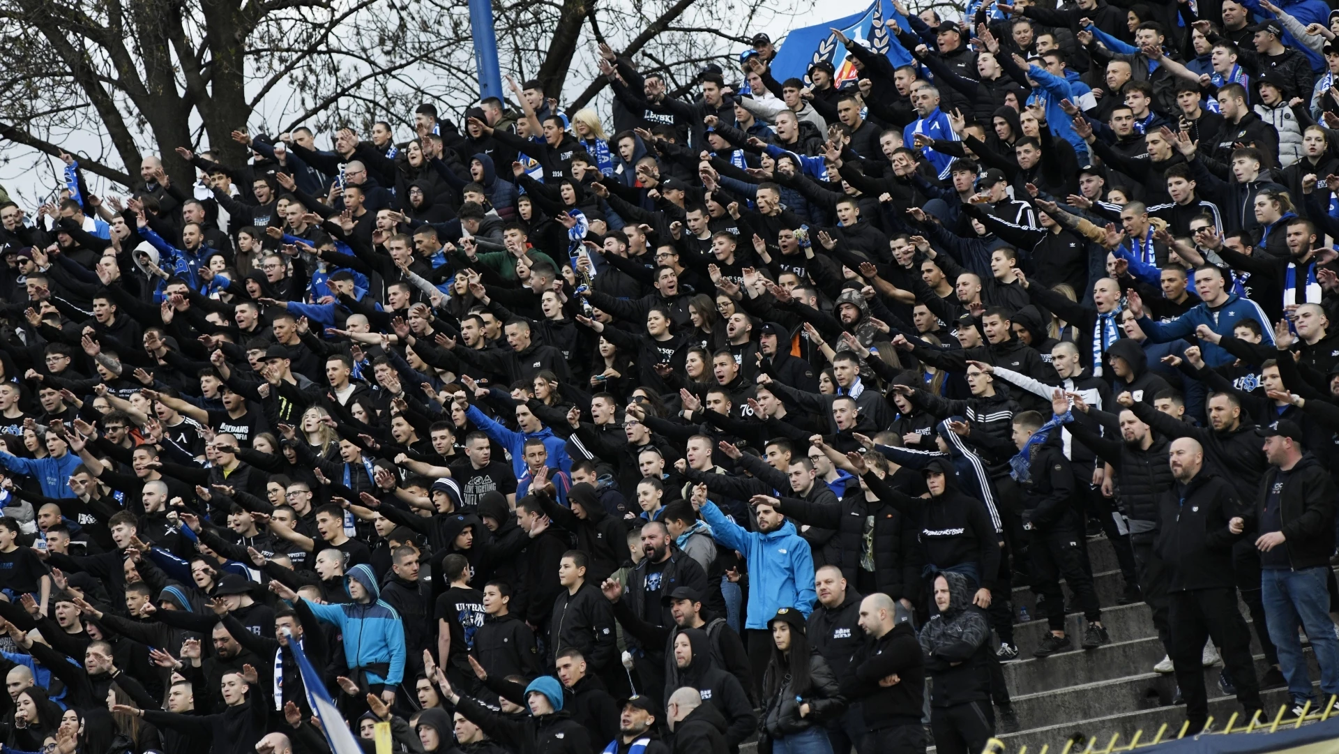 Фенове на Левски