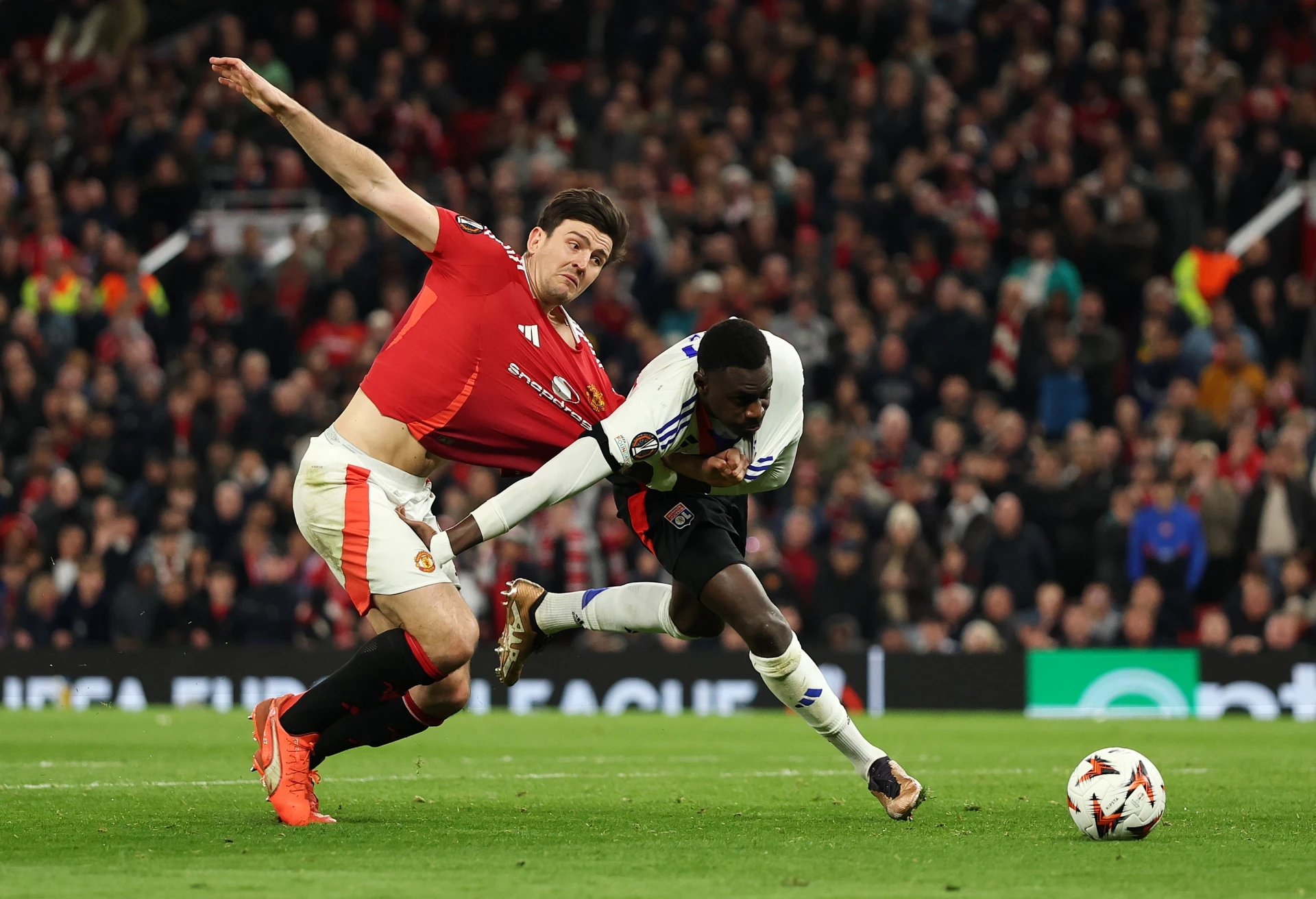 Хари Магуайър