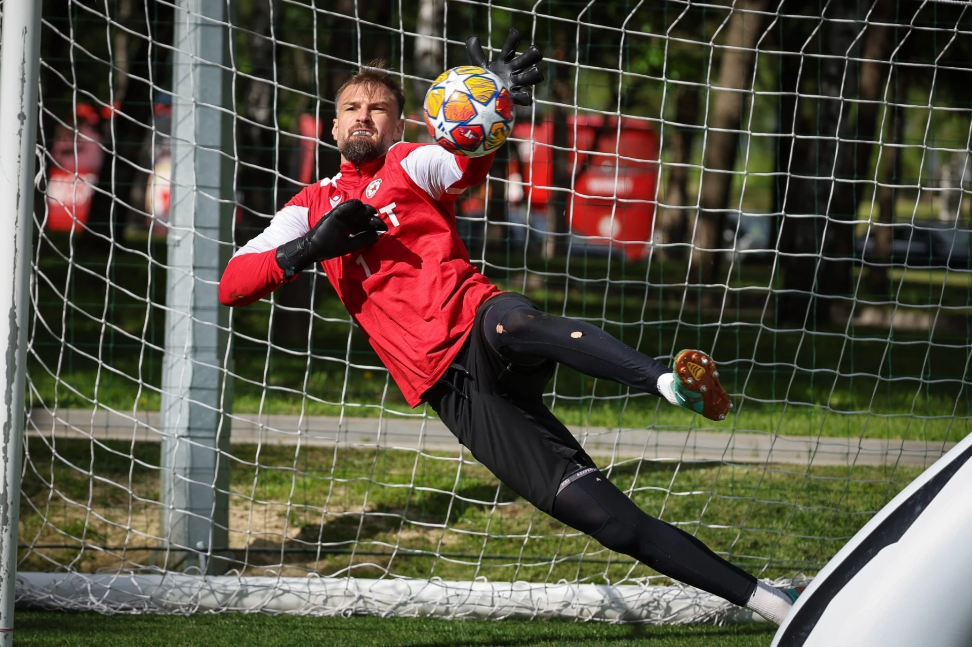 Густаво Бусато