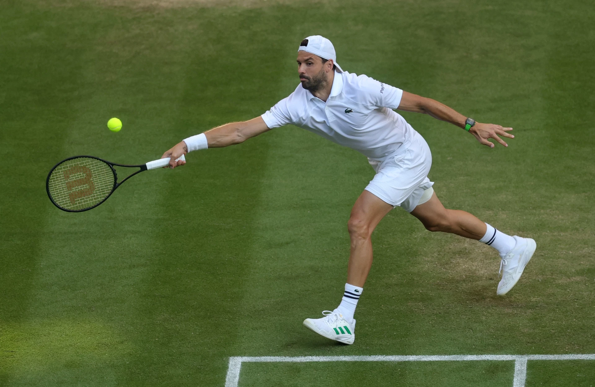 Григор Димитров