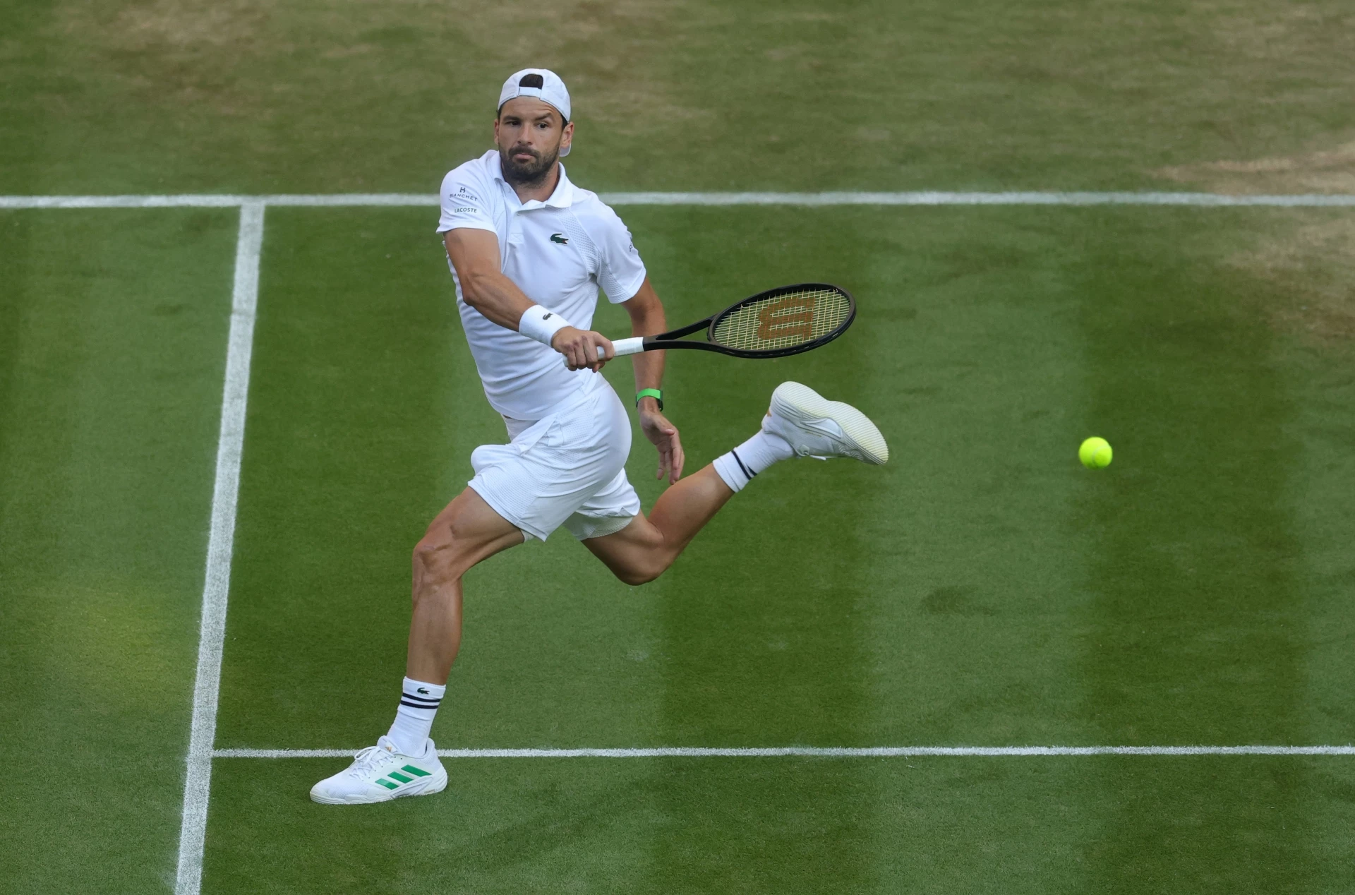 Григор Димитров