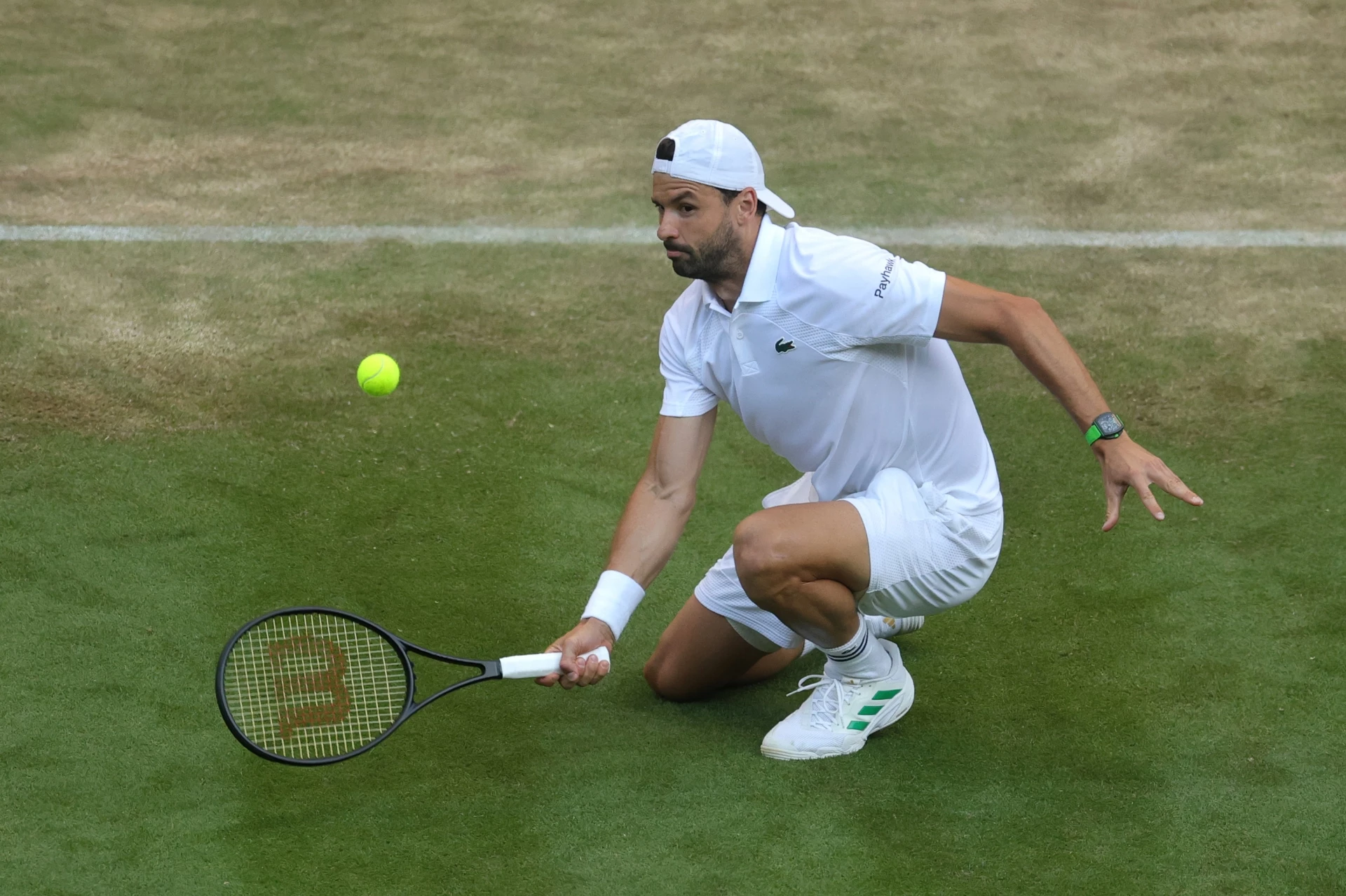 Григор Димитров