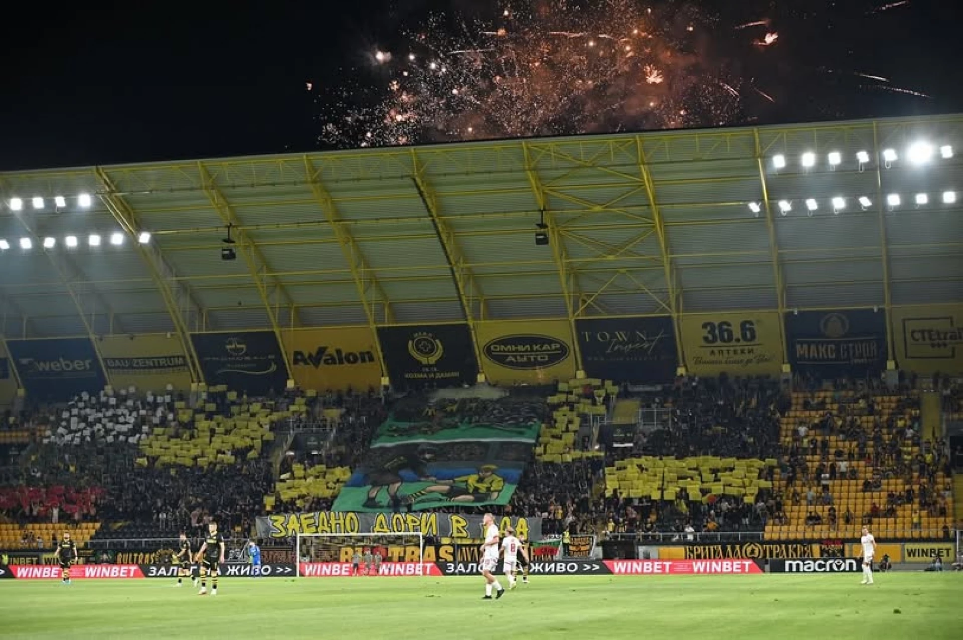 Фенове на Ботев Пловдив