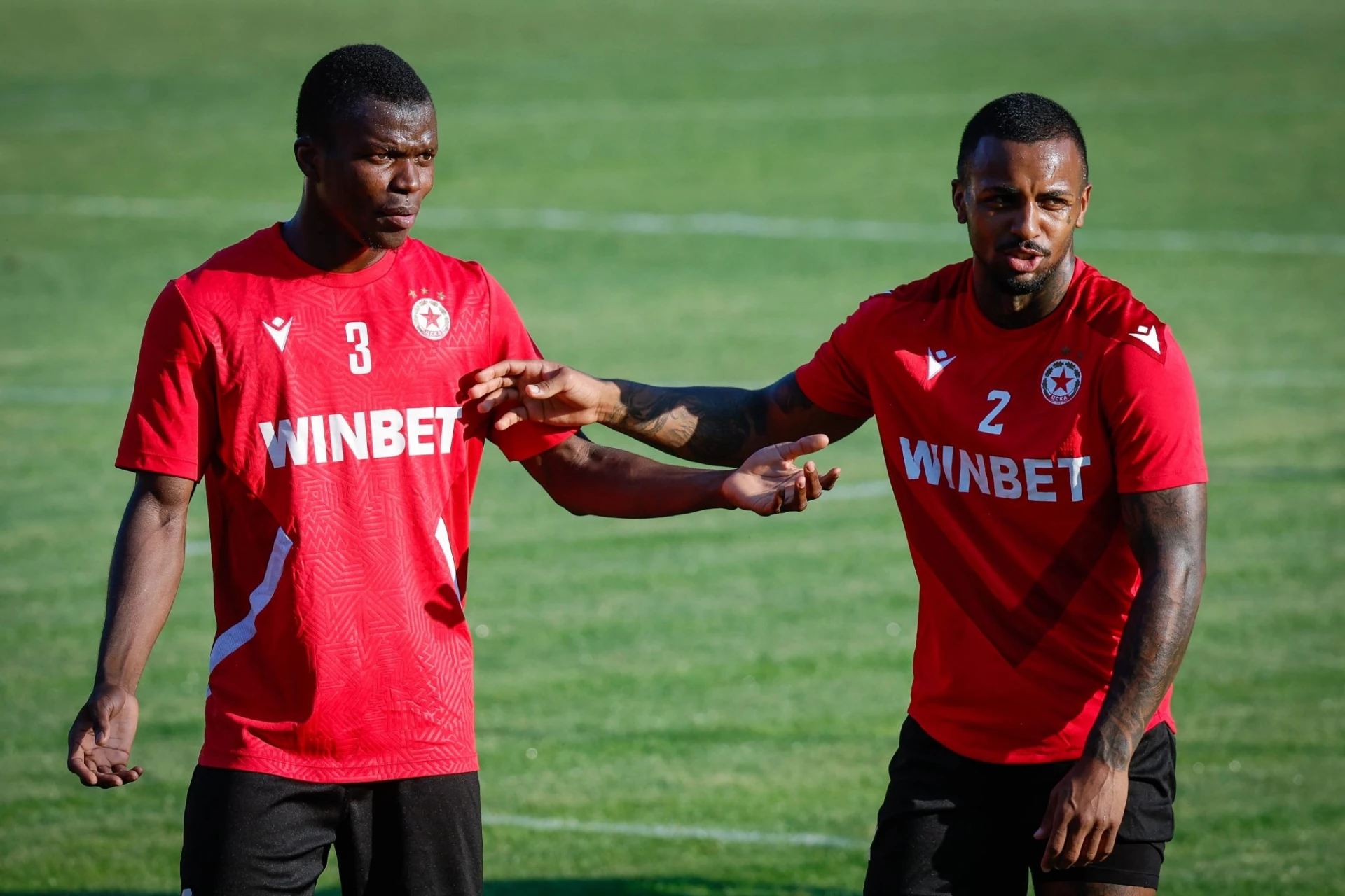 Давид Пастор