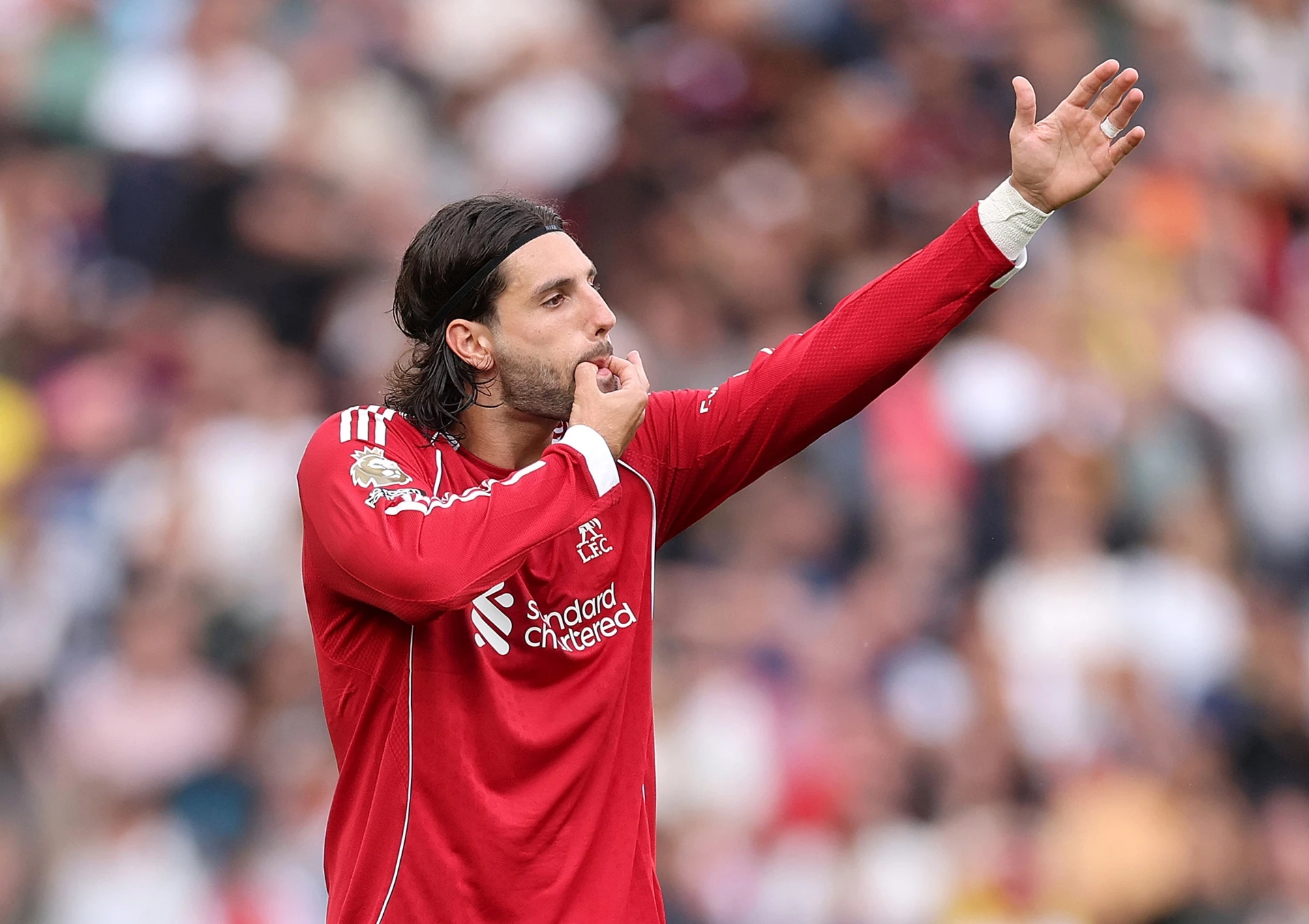 Доминик Собослай