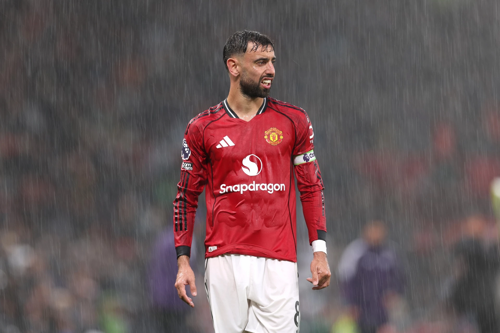 Бруно Фернандеш