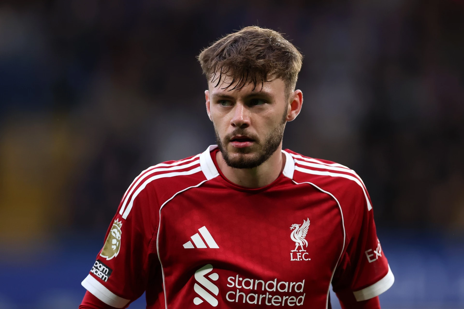 Конър Брадли