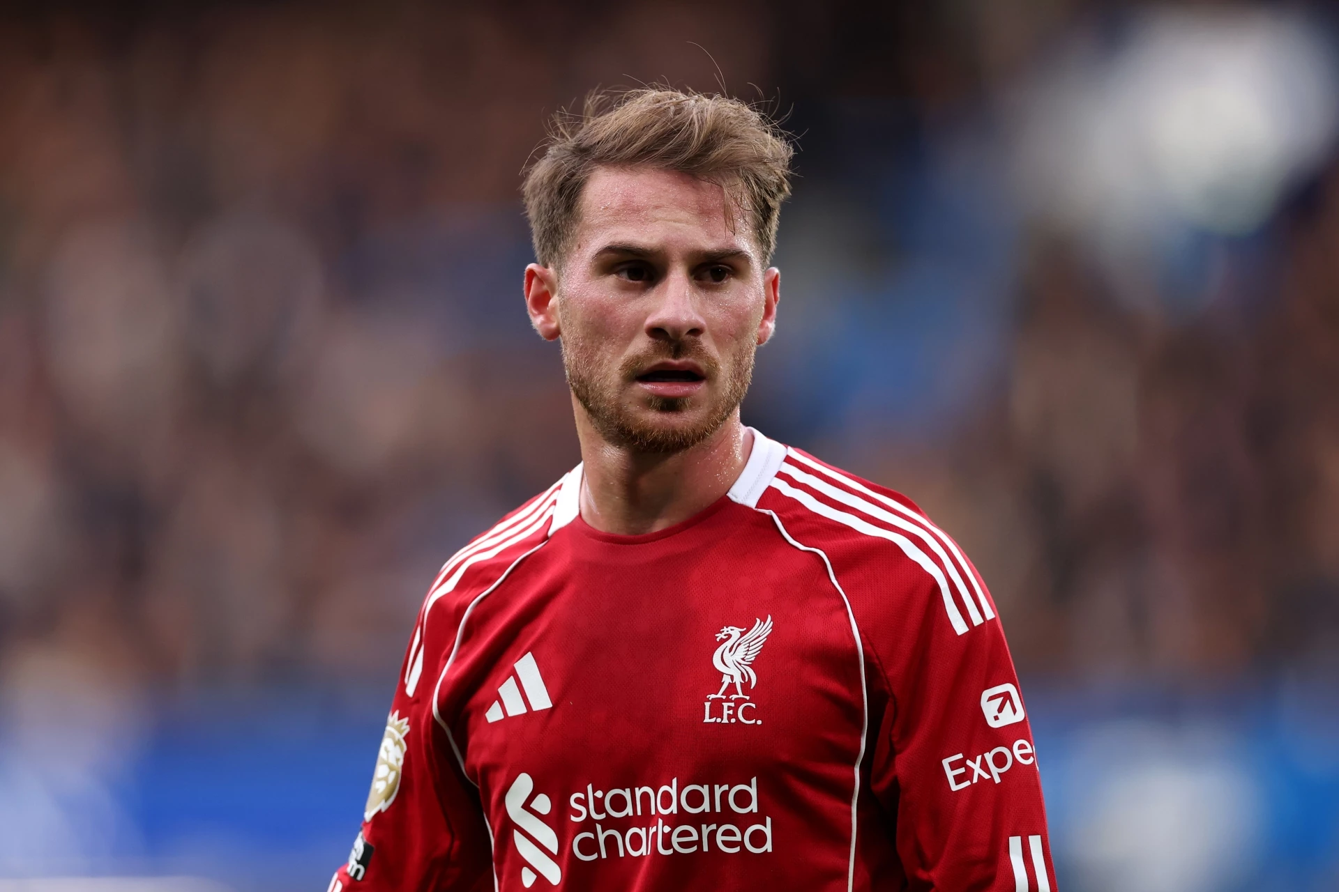 Алексис мак Алистър