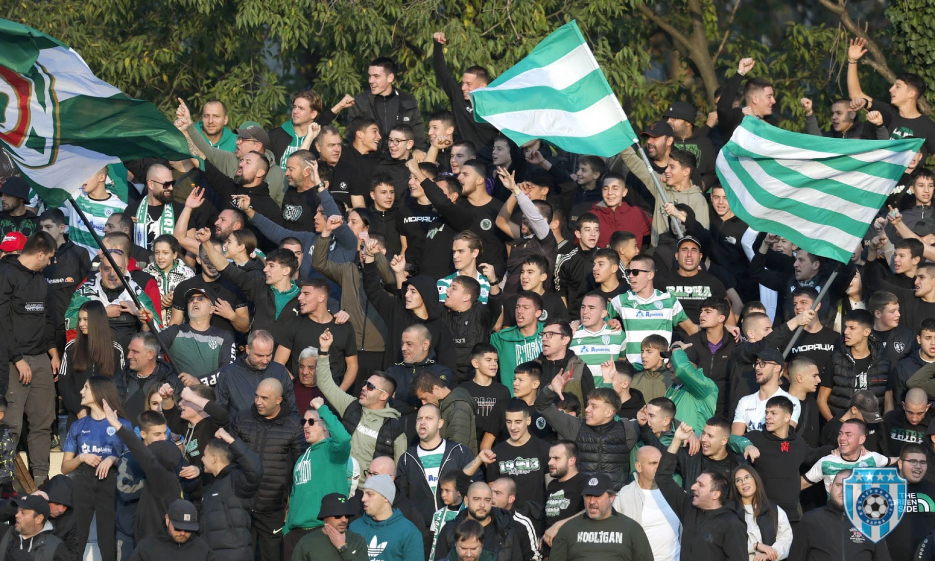 Фенове на Черно море