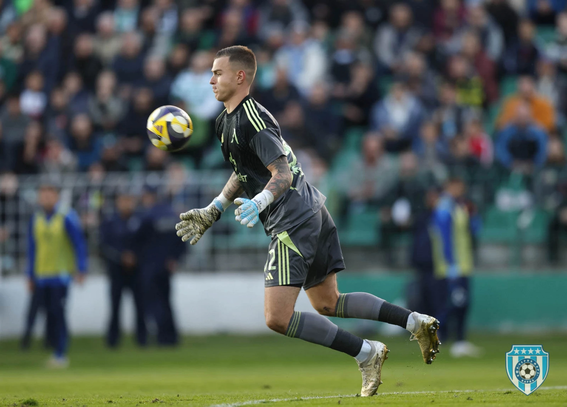 Светослав Вуцов