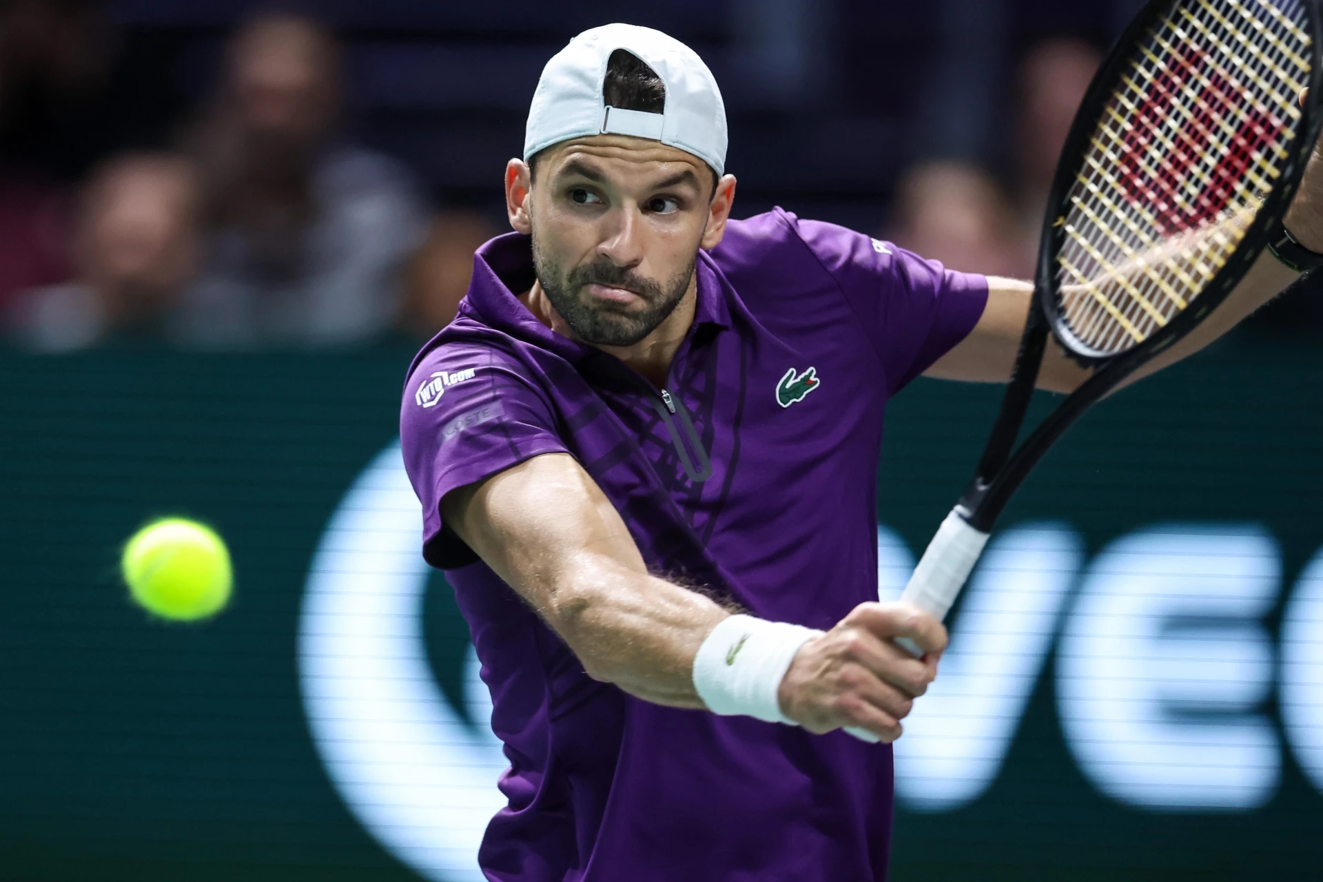 Григор Димитров