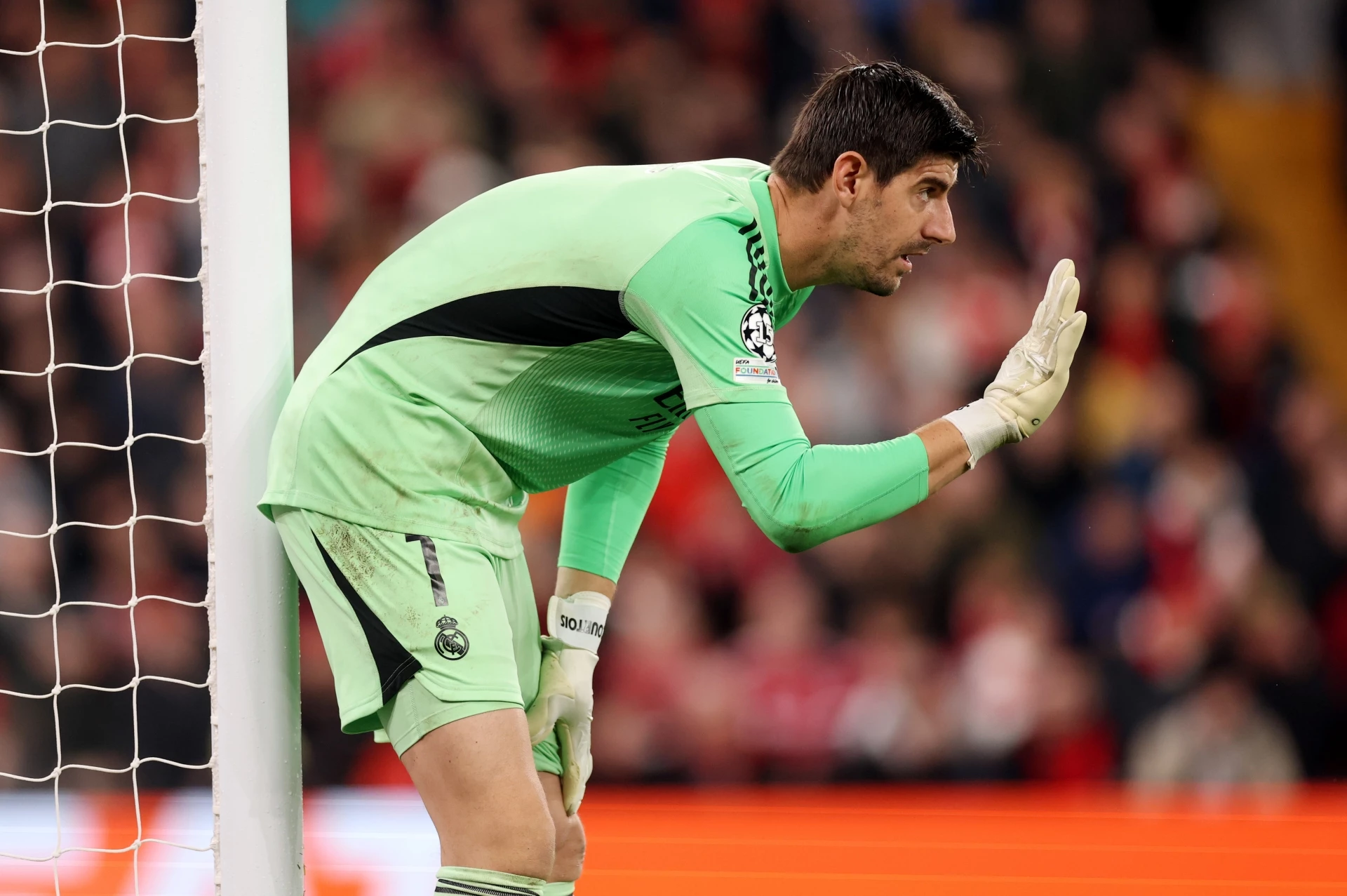 Тибо Куртоа