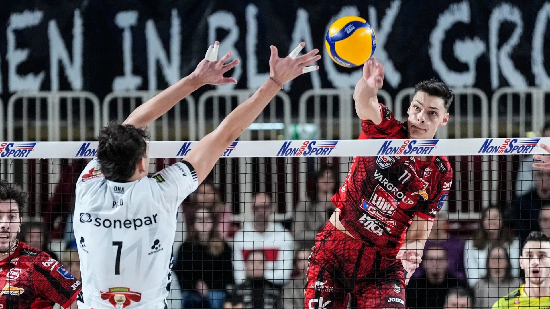 Александър Николов