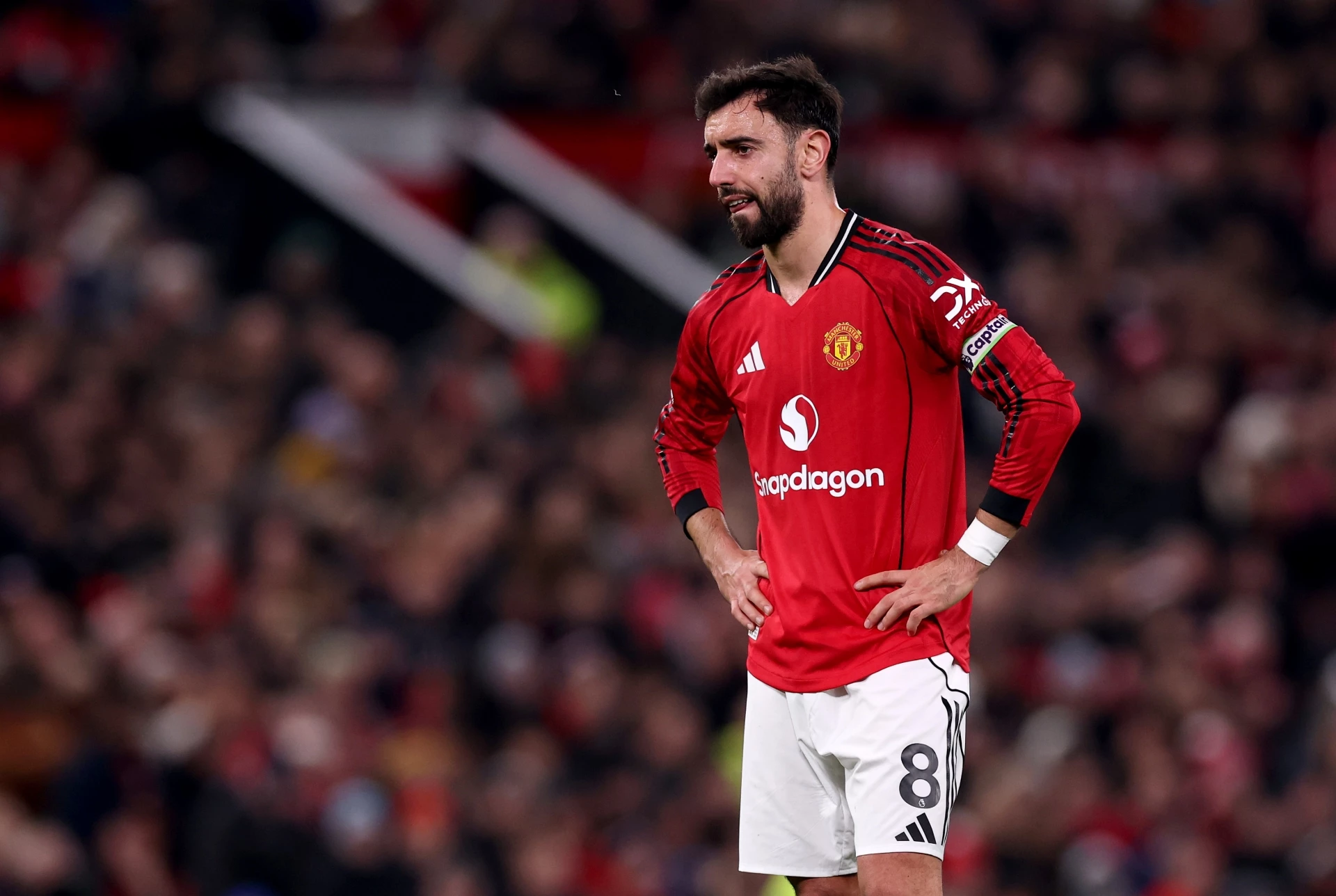 Бруно Фернандеш