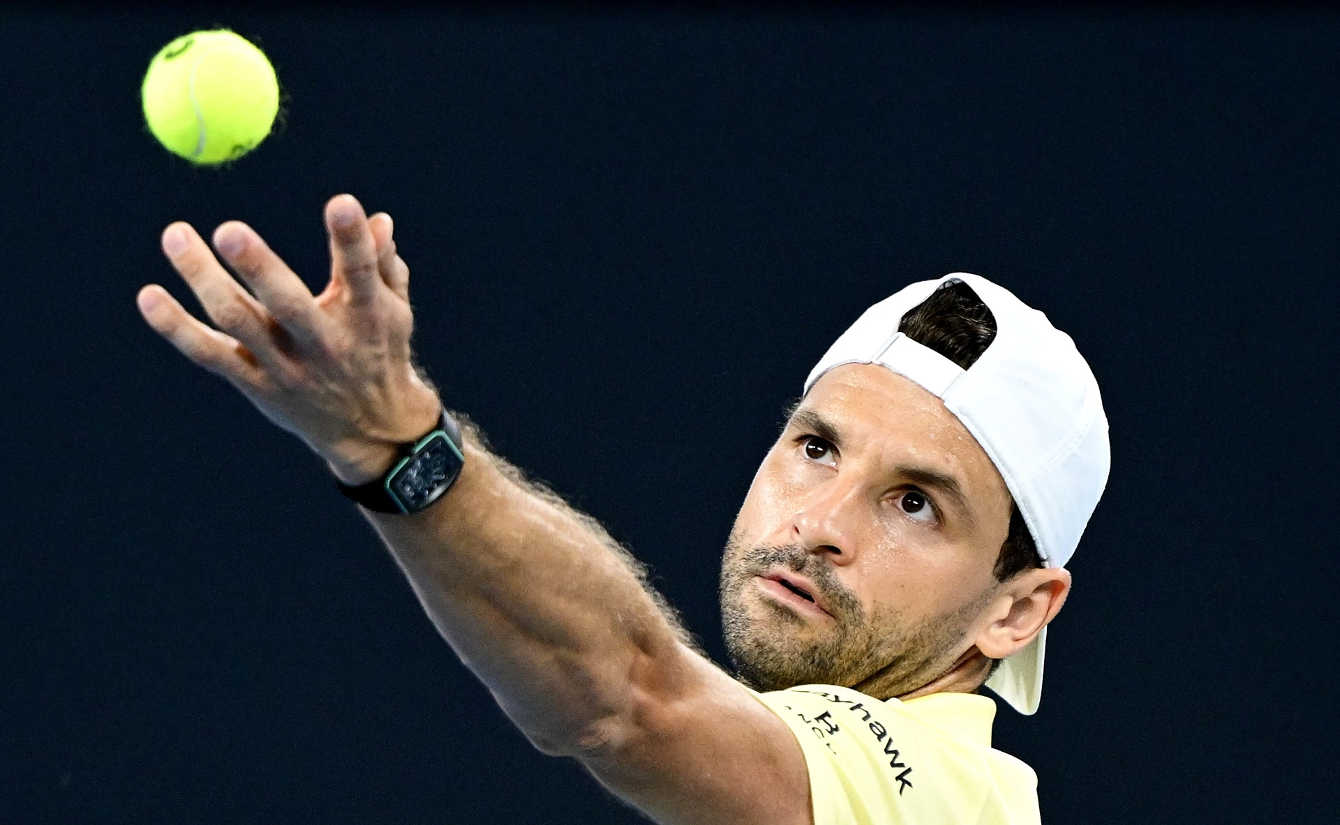 Григор Димитров