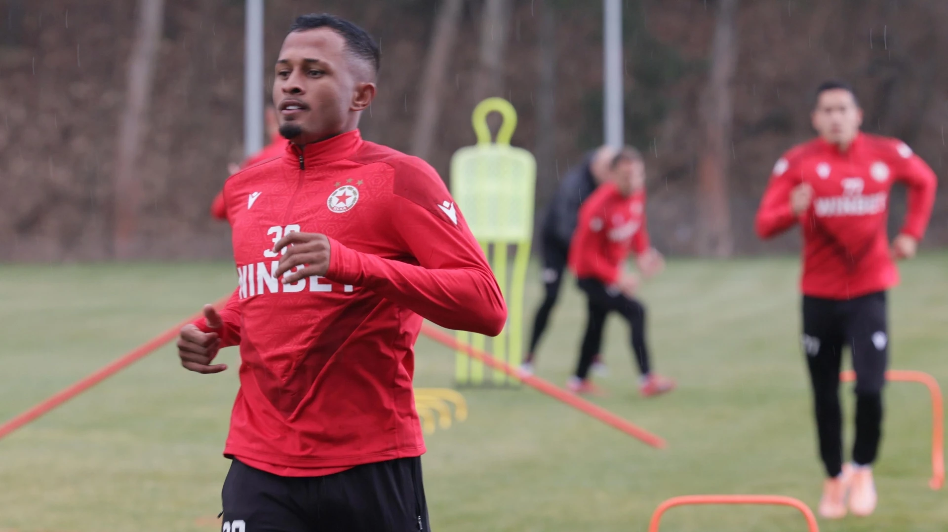 Лео Перейра