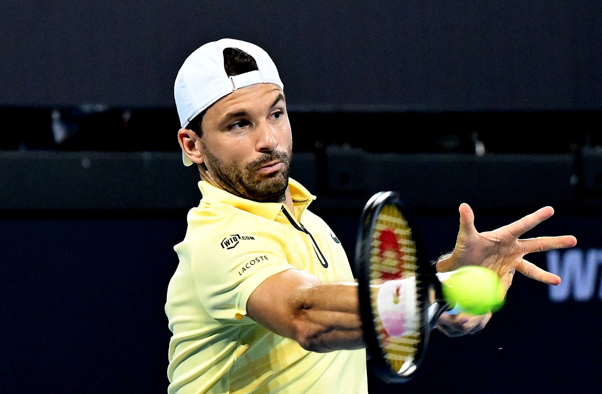 Григор Димитров