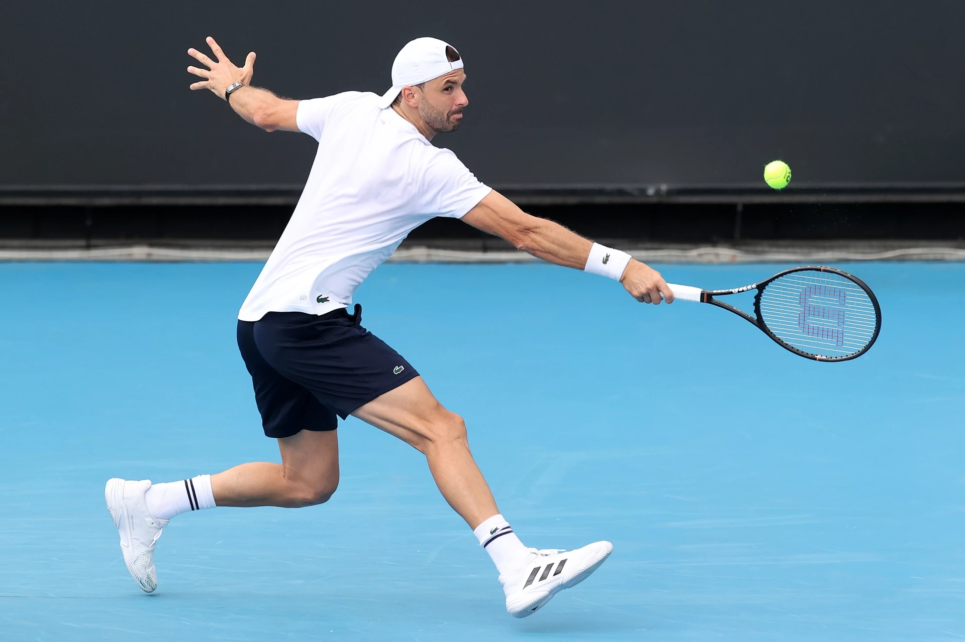 Григор Димитров