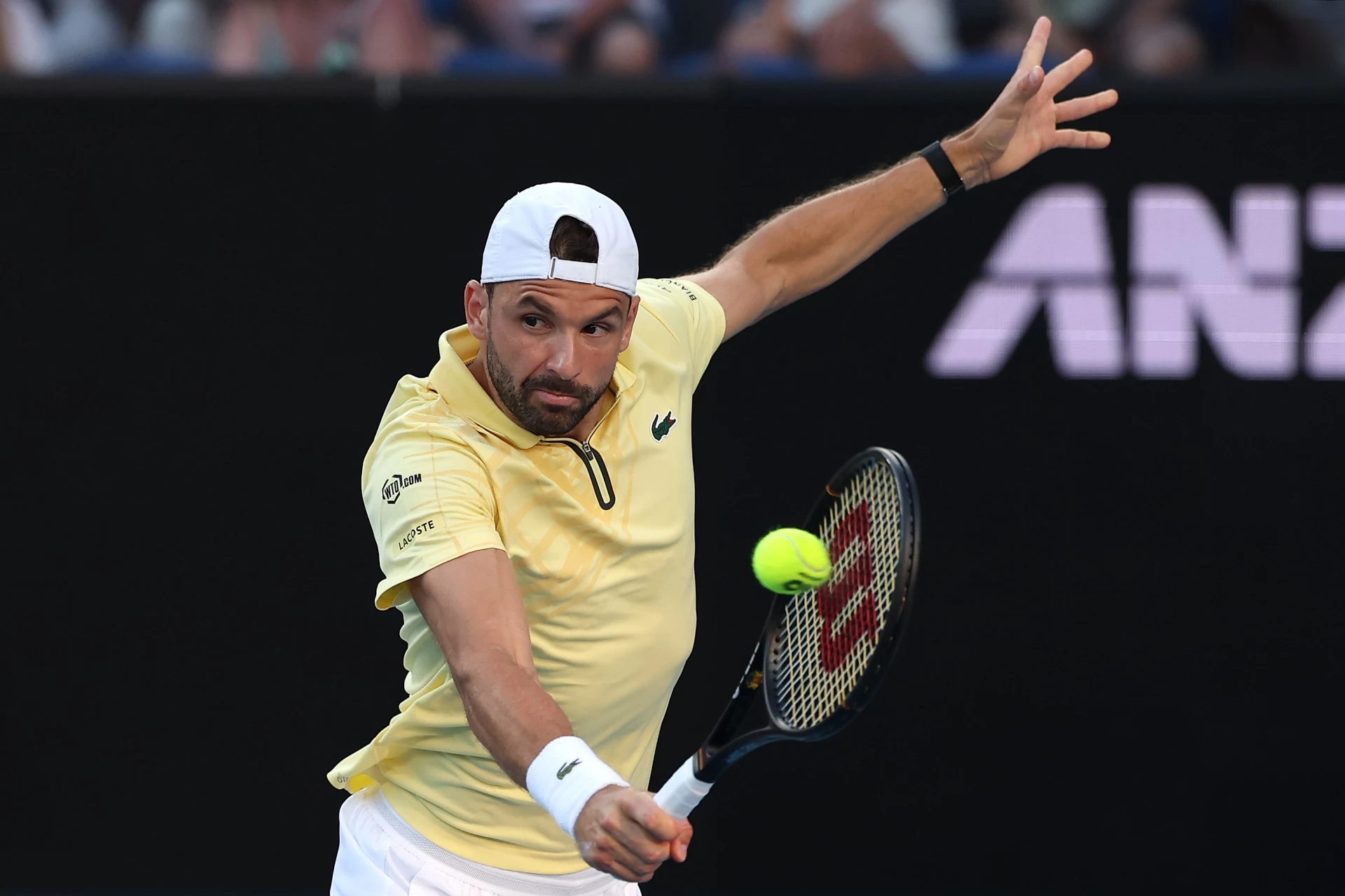 Григор Димитров