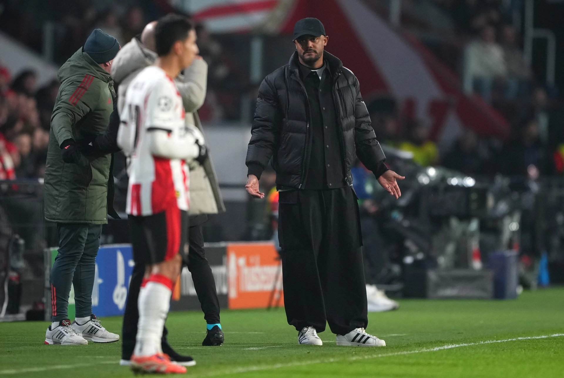 Венсан Компани