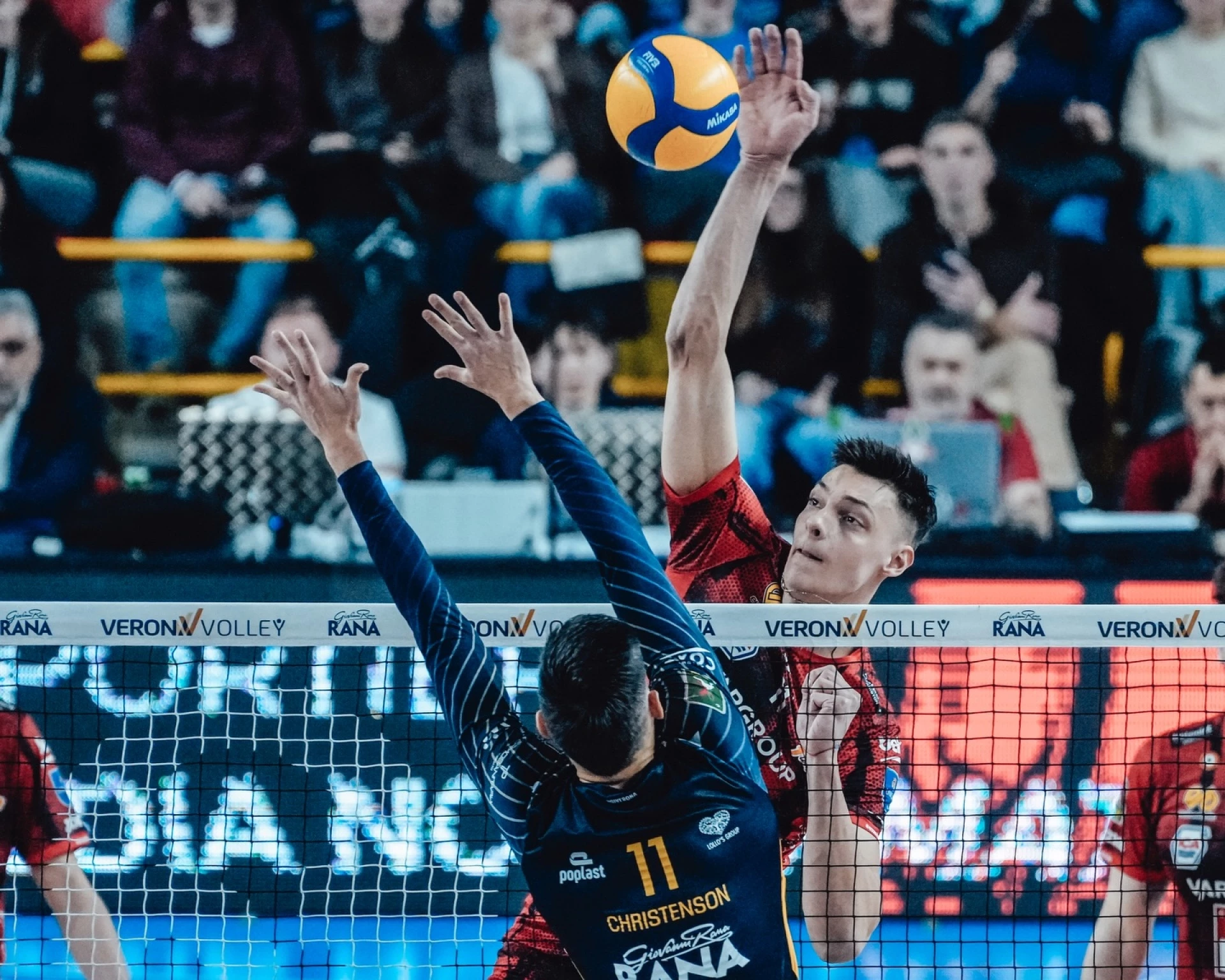 Александър Николов