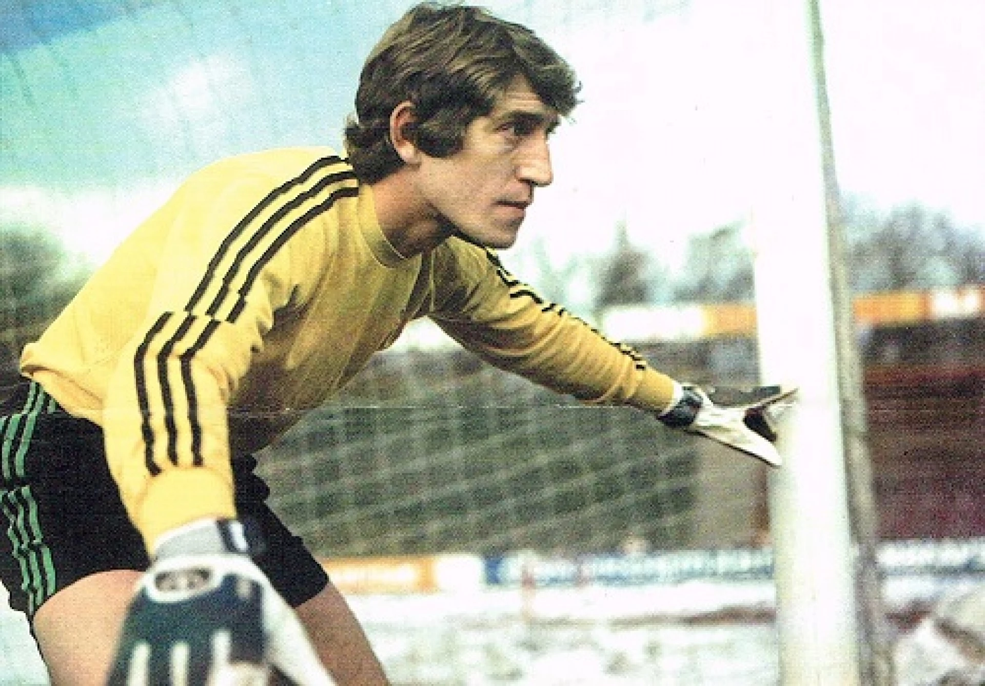 Георги Велинов