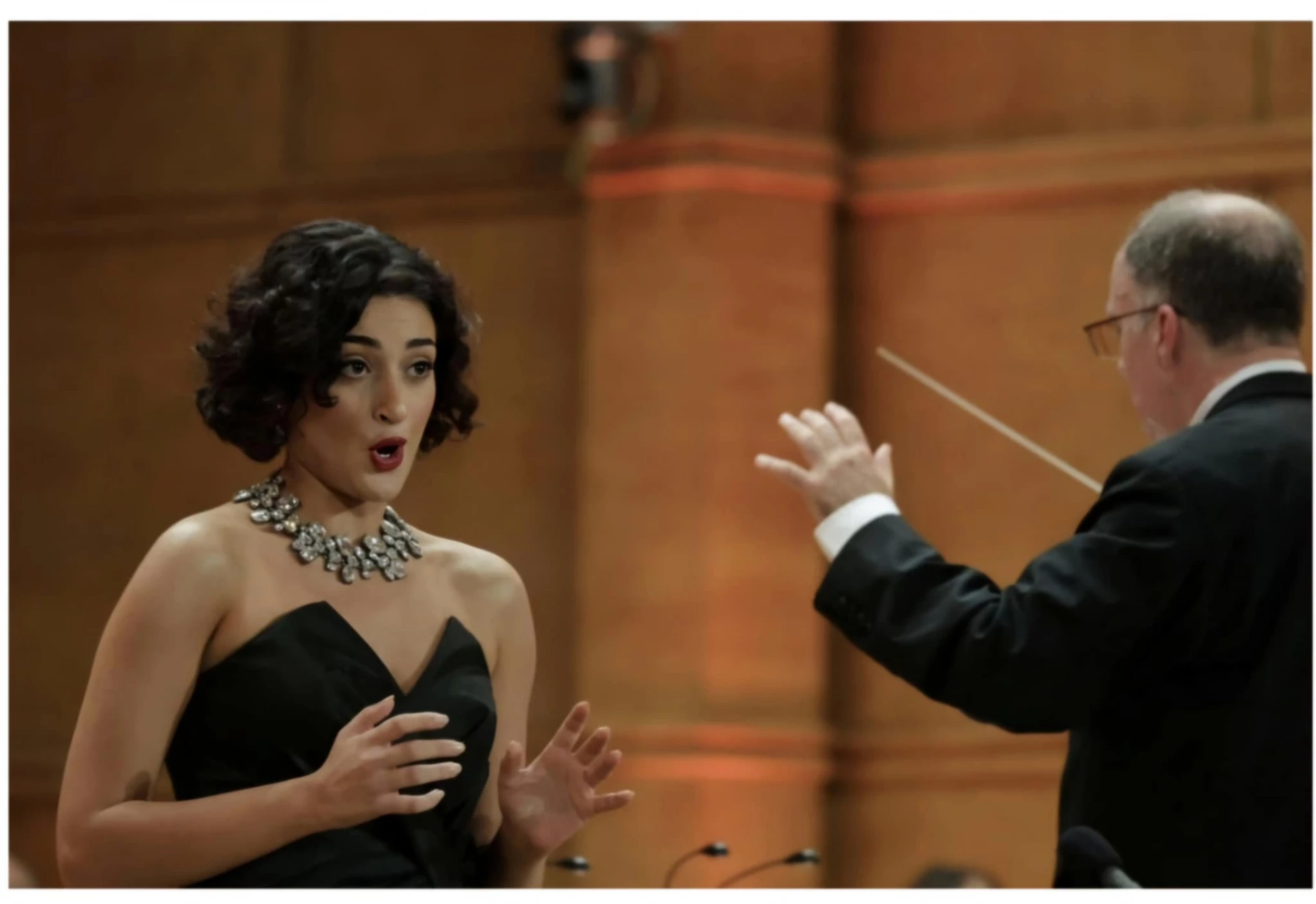 ВижМузиката, Българска музикална асоциация