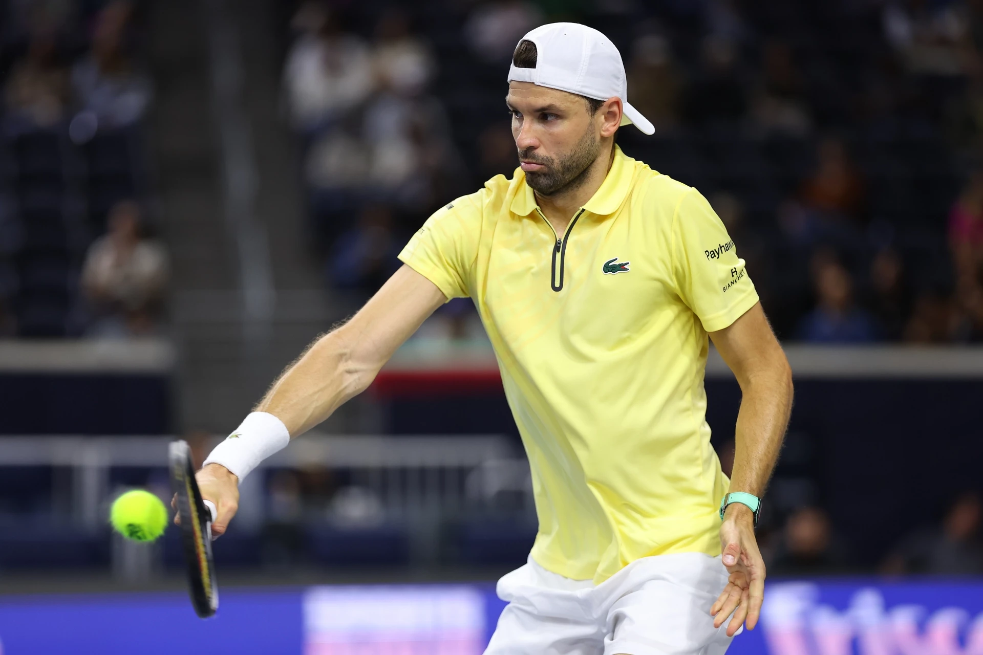 Григор Димитров