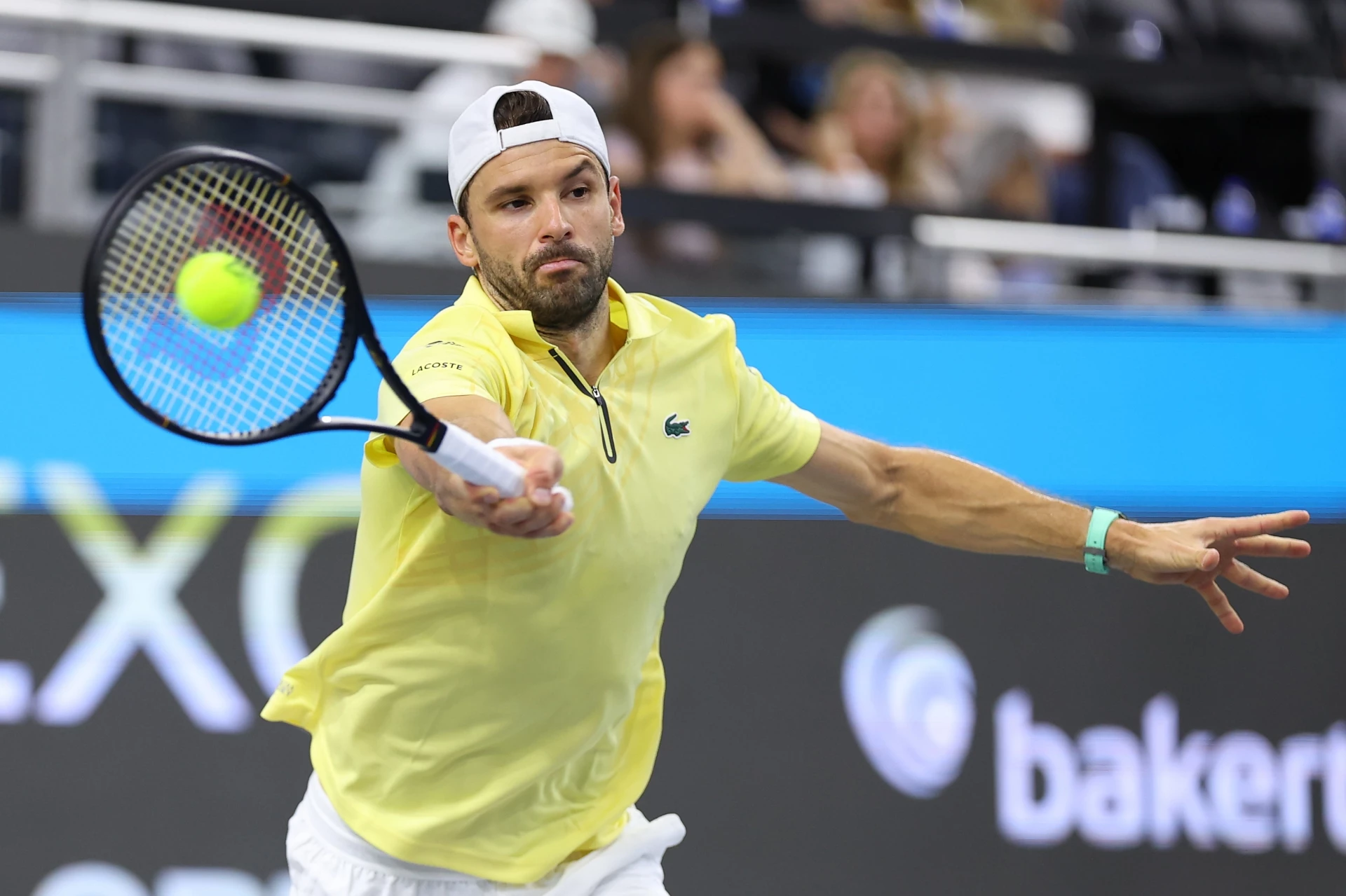 Григор Димитров