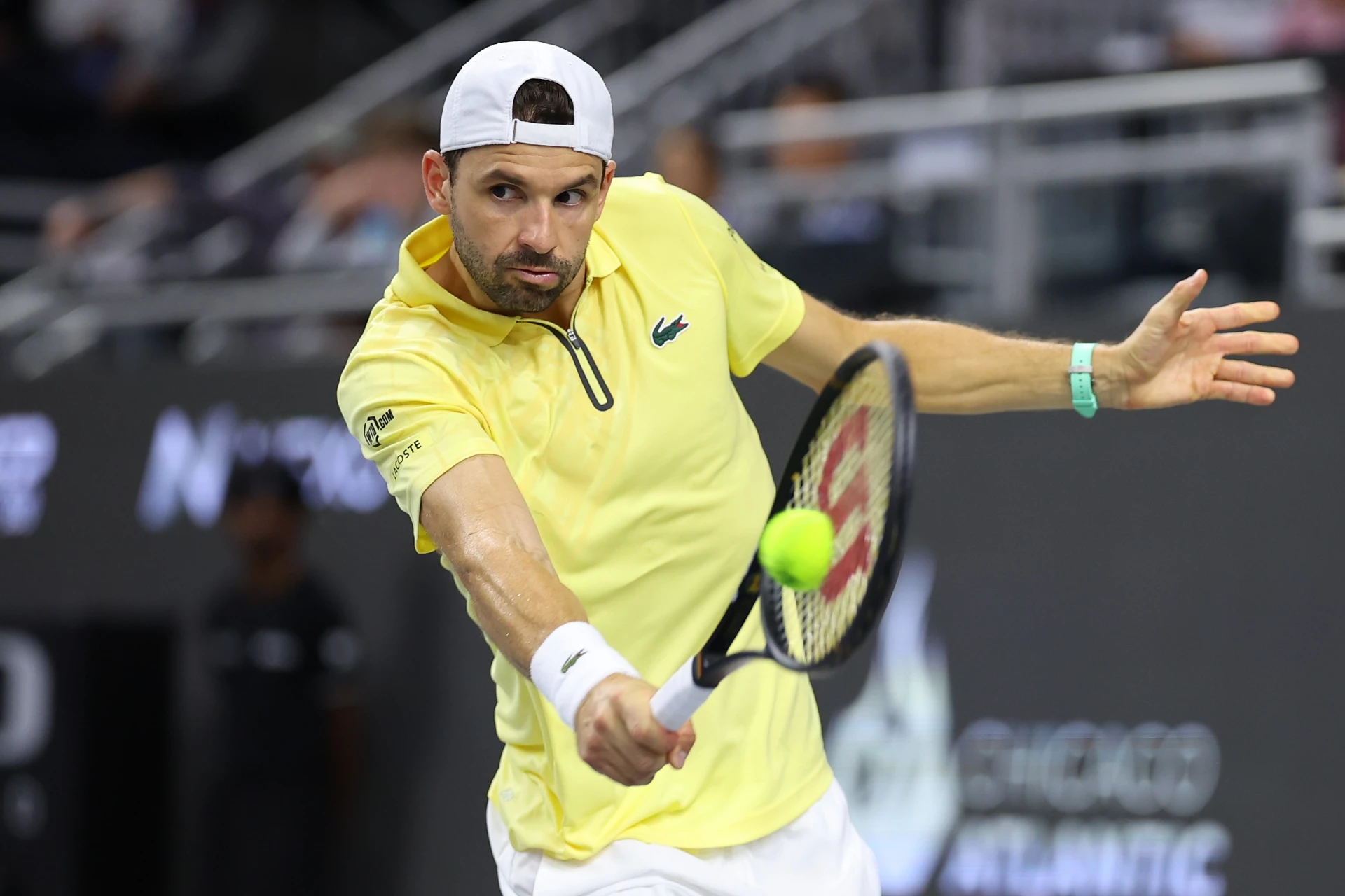 Григор Димитров