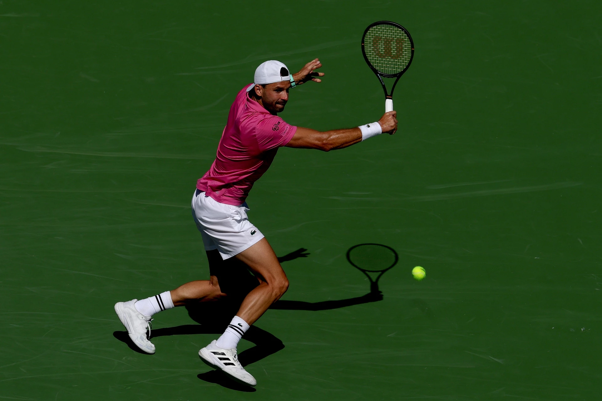 Григор Димитров