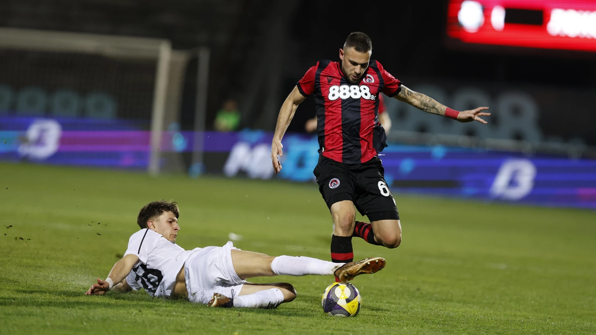 Доминик Янков