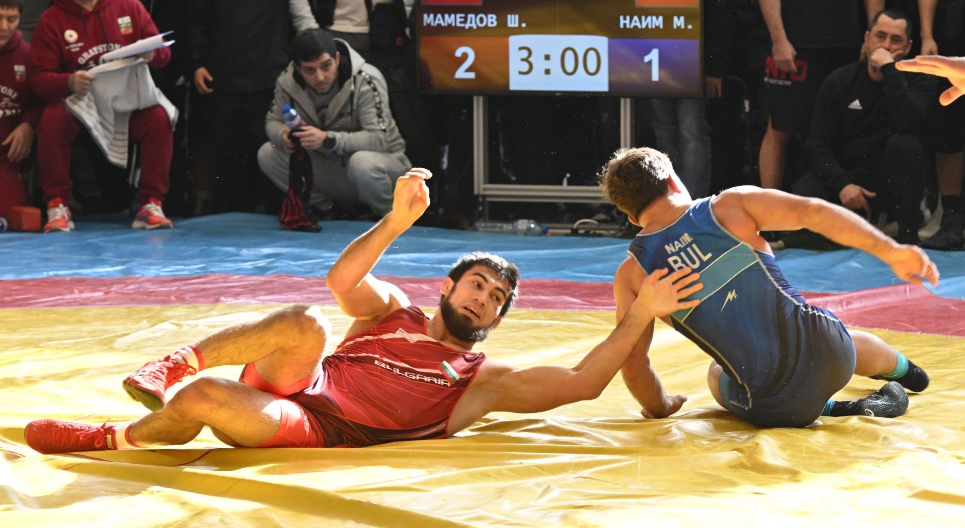 Шамил Мамедов