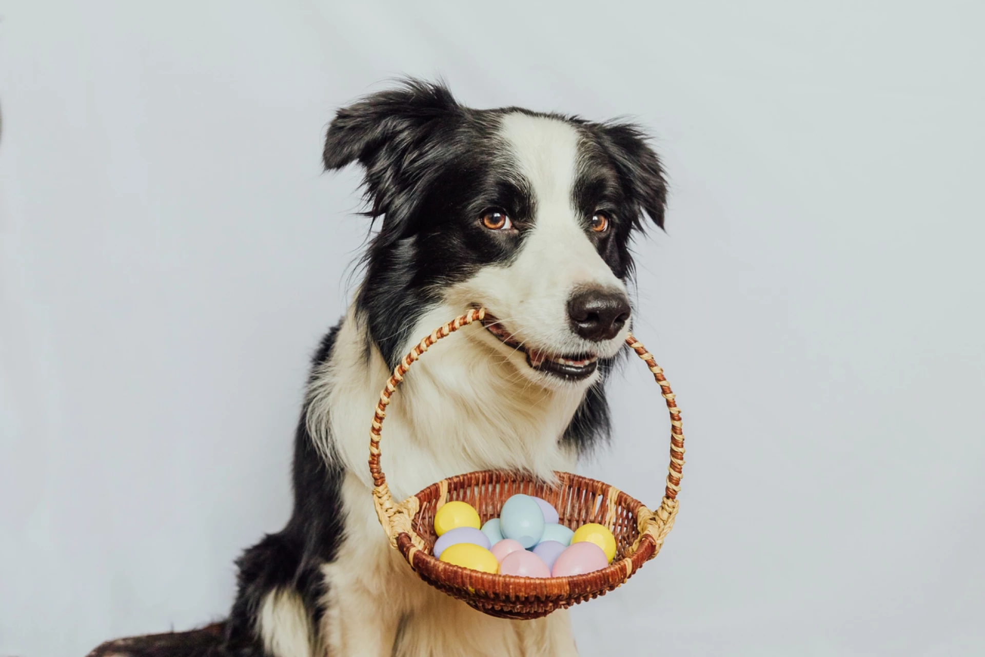 дневен хороскоп