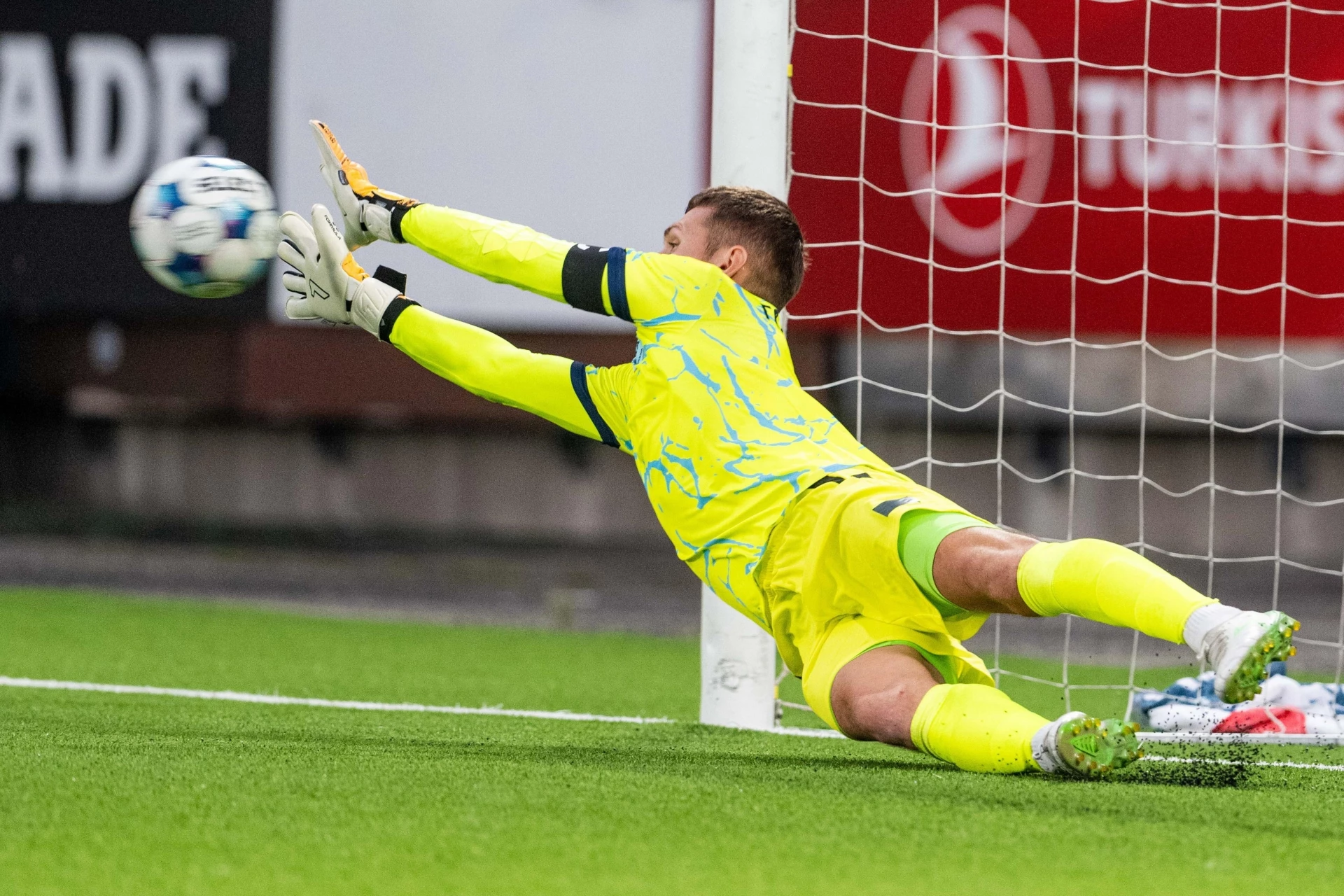 Анатолий Господинов