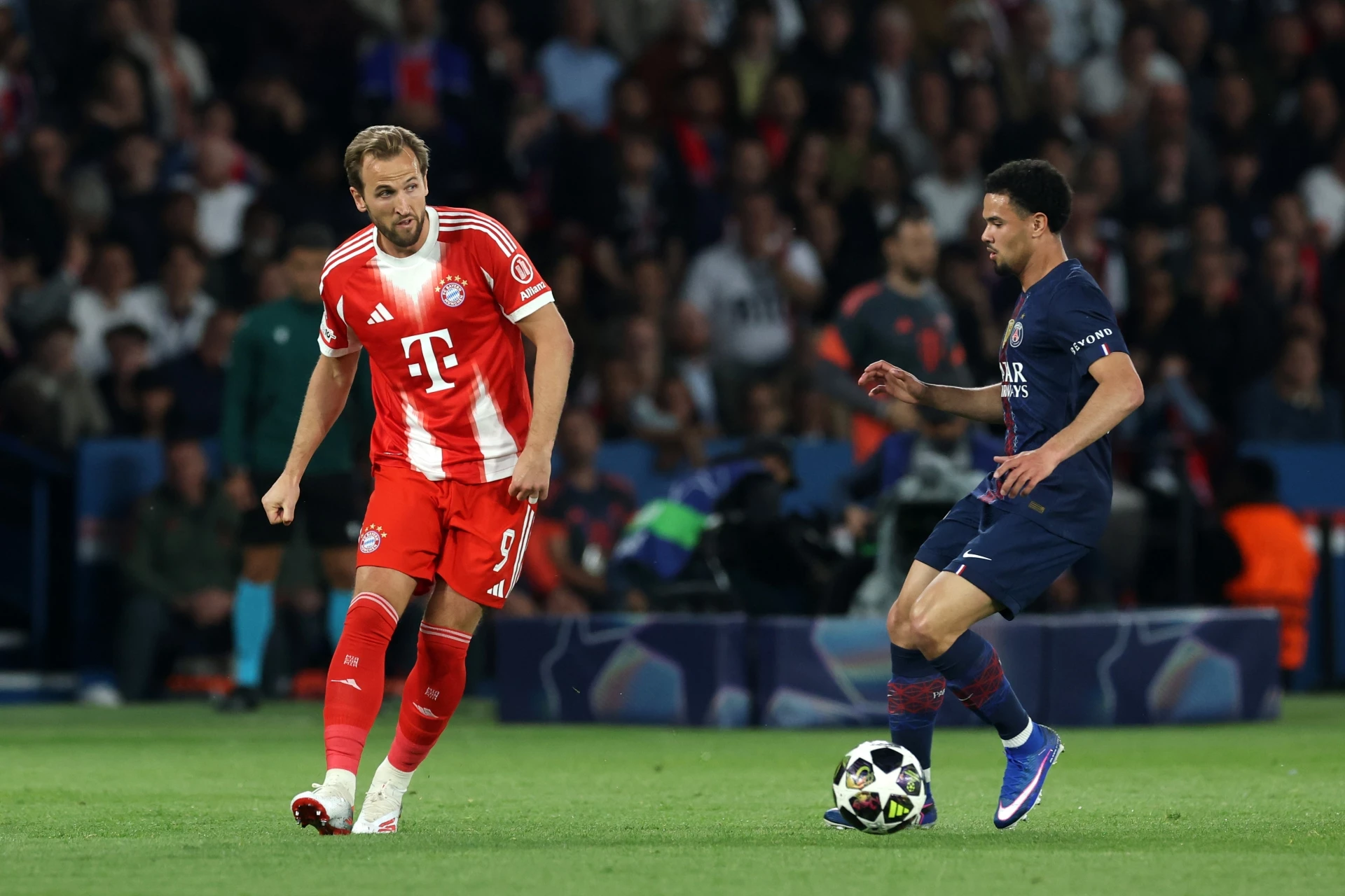 Цветомир Найденов