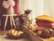 4 есенни тенденции при домашния декор, в които ще се влюбите (СНИМКИ)