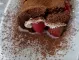  Рецепта на Силвена Роу за кето шоколадово руло (ВИДЕО) 
