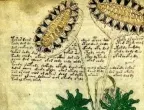 Мистериозният ръкопис на Войнич може да е отчасти за секса и &quot;женските тайни&quot;
