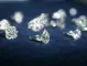 Пет страни от ЕС настояват за забрана на вноса на диаманти от Русия