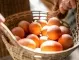 Какво значат етикетите на яйцата и как да изберете