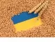 ЕК удължи ограничителните мерки за внос на зърно от Украйна за 5 страни, включително и България
