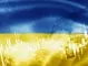Украйна ще преструктурира дълг от 20 милиарда долара