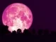 Ягодова луна на 21 юни 2024, какво ще донесе на всяка зодия